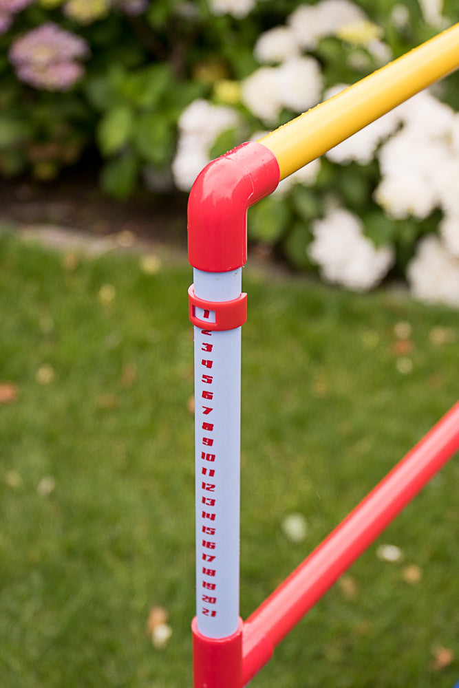 Dubbel ladder golfspel set blauw-rood echte GolfBolas in de tas